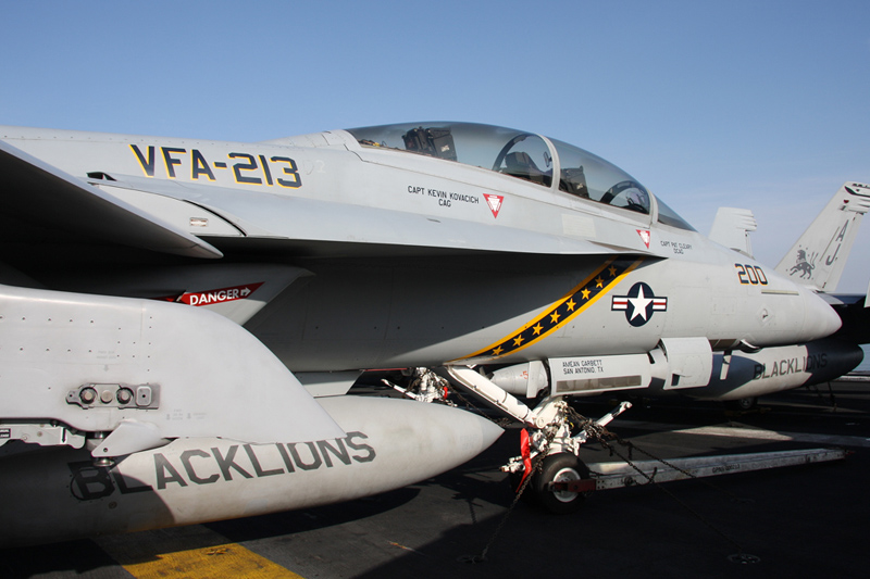 F/A-18F Super Hornet, VFA-213 <i>Black Lions</i>, USN