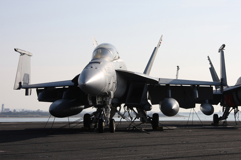 F/A-18F Super Hornet, VFA-213 <i>Black Lions</i>, USN