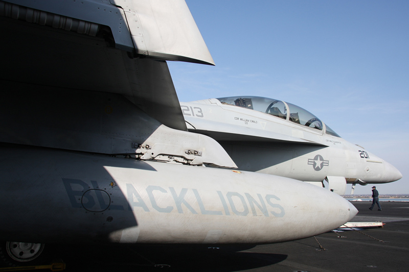 F/A-18F Super Hornet, VFA-213 <i>Black Lions</i>, USN