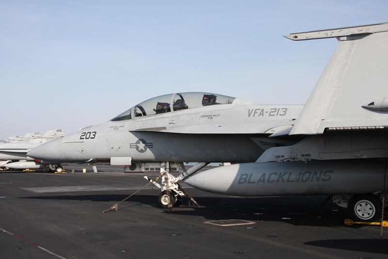 F/A-18F Super Hornet, VFA-213 <i>Black Lions</i>, USN