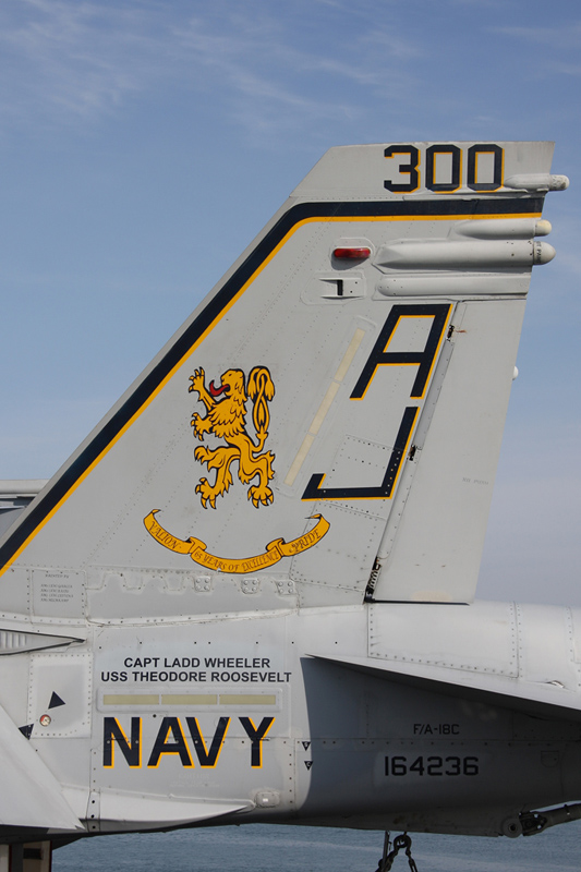 F/A-18C Hornet, VFA-15 <i>Valions</i>, USN