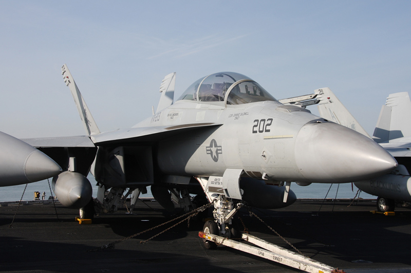 F/A-18F Super Hornet, VFA-213 <i>Black Lions</i>, USN