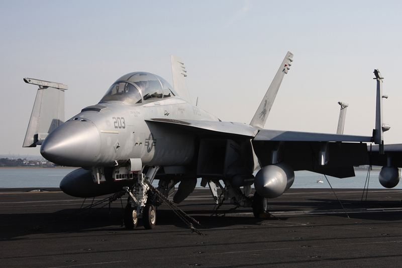 F/A-18F Super Hornet, VFA-213 <i>Black Lions</i>, USN