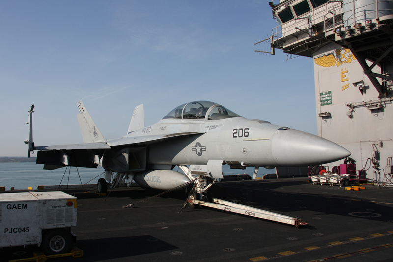 F/A-18F Super Hornet, VFA-213 <i>Black Lions</i>, USN