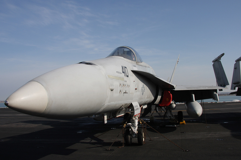 F/A-18A+ Hornet, VFA-87 <i>Golden Warriors</i>, USN