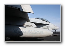 F/A-18F Super Hornet, VFA-213 <i>Black Lions</i>, USN