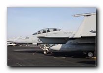 F/A-18F Super Hornet, VFA-213 <i>Black Lions</i>, USN