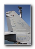 F/A-18C Hornet, VFA-15 <i>Valions</i>, USN