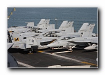 F/A-18E Super Hornet, VFA-31 <i>Tomcatters</i>, USN<br>F/A-18F Super Hornet, VFA-213 <i>Black Lions</i>, USN