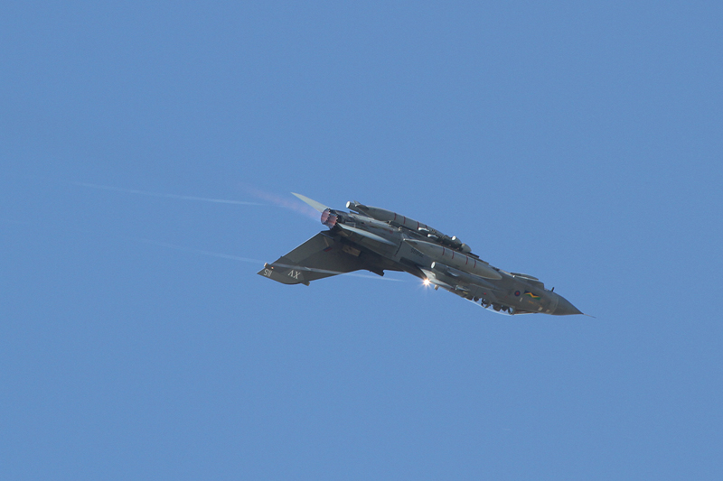 RIAT2010_130