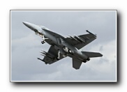 RIAT2010_62.JPG