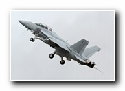 RIAT2010_63.JPG