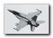 RIAT2010_64.JPG