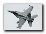 RIAT2010_65.JPG