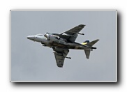 RIAT2010_95.JPG