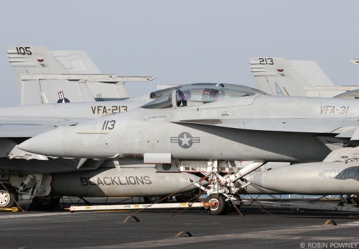 F/A-18E Super Hornet - 166788/AJ-113 - VFA-31 Tomcatters