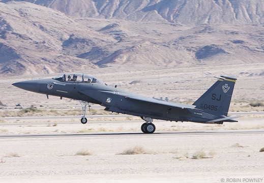 F-15E Strike Eagle - 89-0495/SJ - 336FS Rocketeers