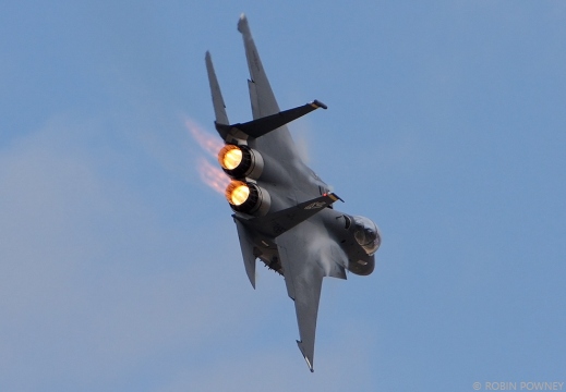 F-15E Strike Eagle - 89-0495/SJ - 336FS Rocketeers